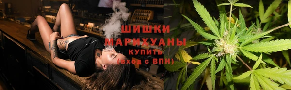ГАЛЛЮЦИНОГЕННЫЕ ГРИБЫ Алзамай