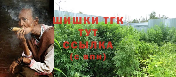 ГАЛЛЮЦИНОГЕННЫЕ ГРИБЫ Алзамай