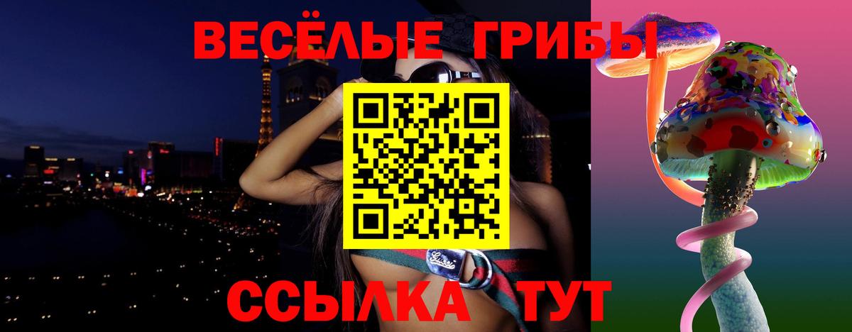 Унеча  Псилоцибиновые грибы мухоморы  купить наркоту  Галлюциногенные грибы мухоморы  Вход с VPN 